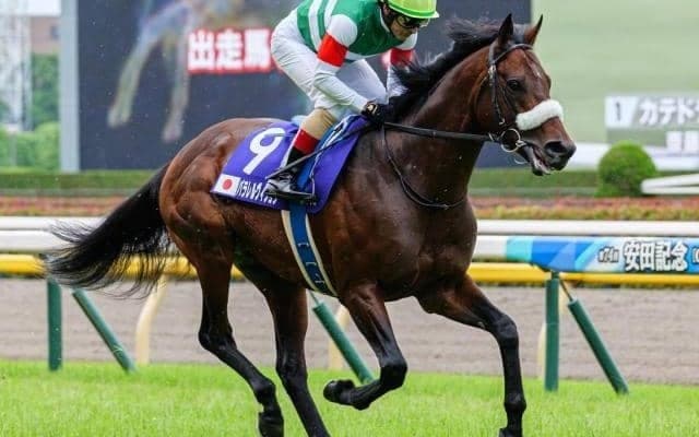 中山芝は内外フラット 中山金杯は舞台巧者のパラレルヴィジョンに注目