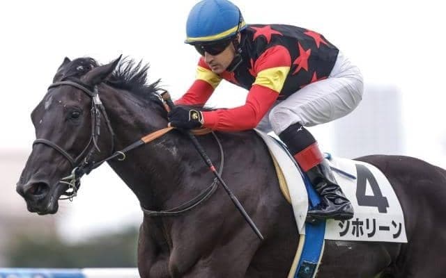 【フェアリーS想定馬・騎手】シホリーン、ニシノラヴァンダなど25頭