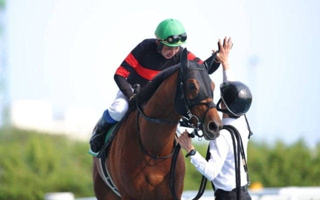 【中山金杯】天皇賞・秋3着馬ホウオウビスケッツは大外18番