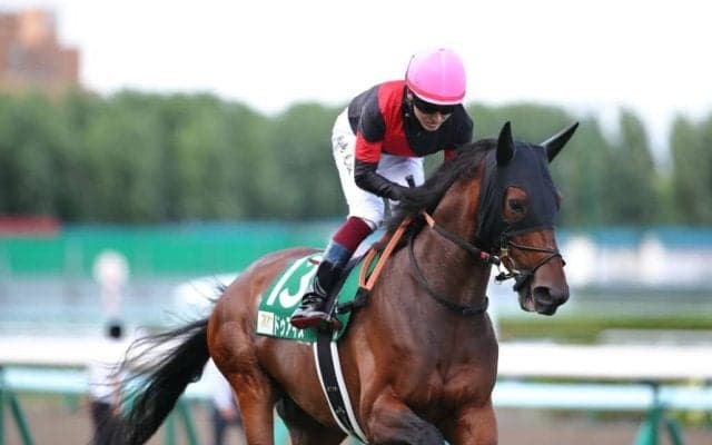 【京都金杯】武豊ドゥアイズは8枠15番