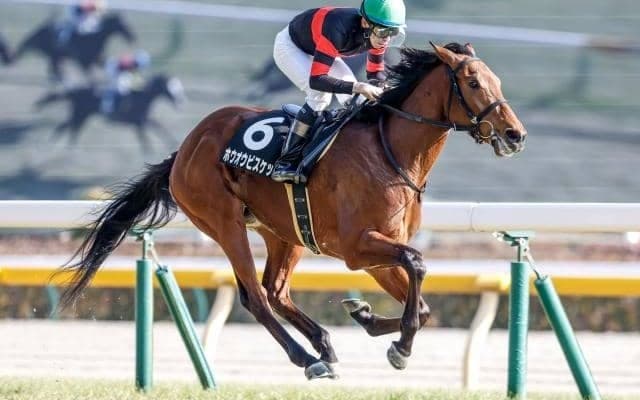 【今日の注目ポイント】中山で中山金杯と中京で京都金杯