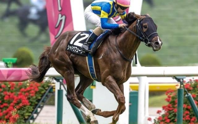 【京都金杯予想】今年は中京芝1600mでの開催 内枠先行馬が有利に