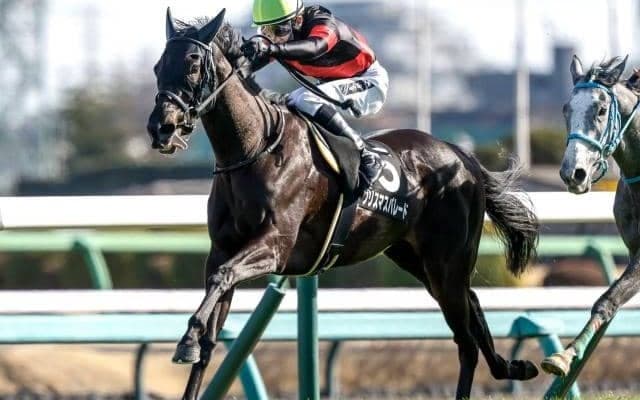 【中山金杯予想】新春到来を告げる名物重賞 例年とは異なるBコース使用がカギ