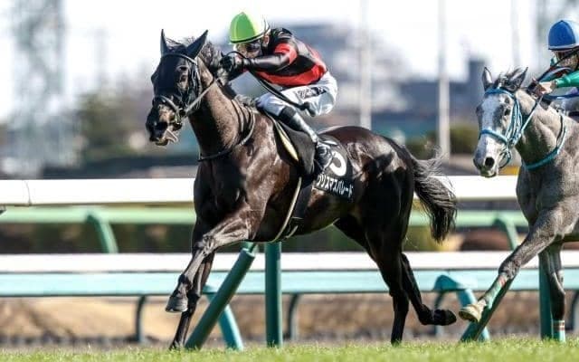 【中山金杯・馬体重】クリスマスパレードは460kg(-4)、ホウオウビスケッツは506kg(+4)