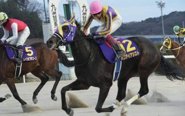 【佐賀若駒賞】ハクアイアシストが抜け出す…山口勲「1年通じて怪我ないように」