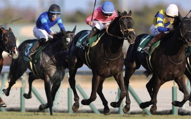 WIN5は371万円超の払戻し…京都金杯はキング騎乗、サクラトゥジュールがV