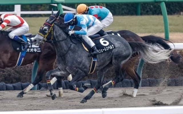 【中山新春JS結果】フェーレンベルクがオープン初勝利を挙げる