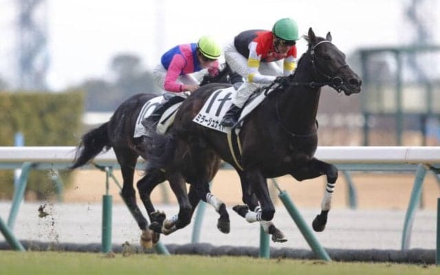 【中京5R】武豊が2025年初勝利…ミラージュナイトでV