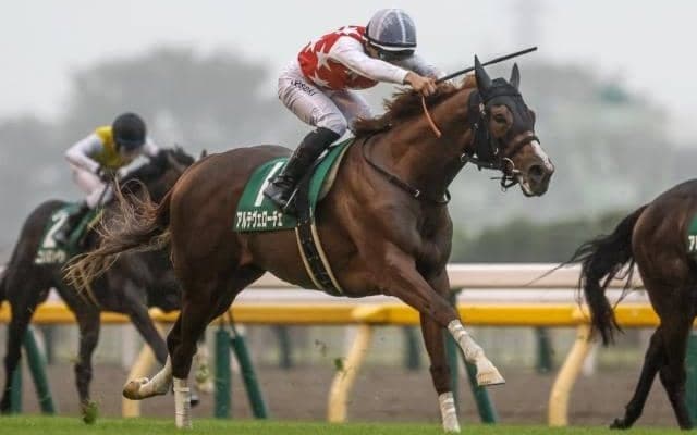 3日間開催にシンザン記念とフェアリーS/今週の競馬界の見どころ