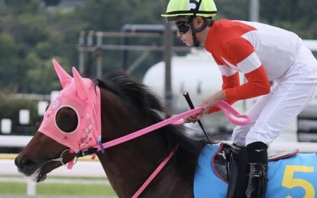 【浦和・ニューイヤーC枠順】準重賞6馬身差圧勝のガバナビリティーは5枠5番