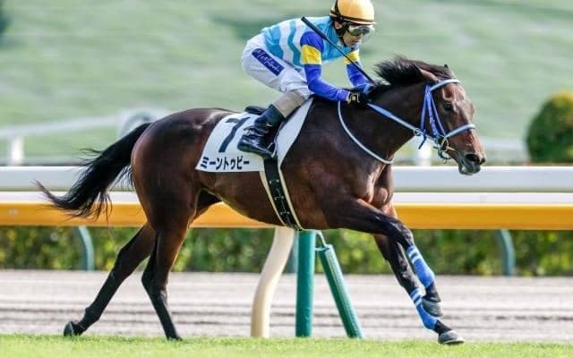 【フェアリーS見どころ】ミーントゥビーが重賞初制覇だ