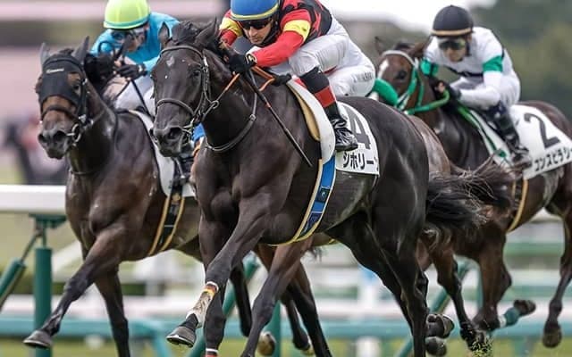 【フェアリーS想定騎手】シホリーンは横山武史騎手、エリカエクスプレスは戸崎圭太騎手