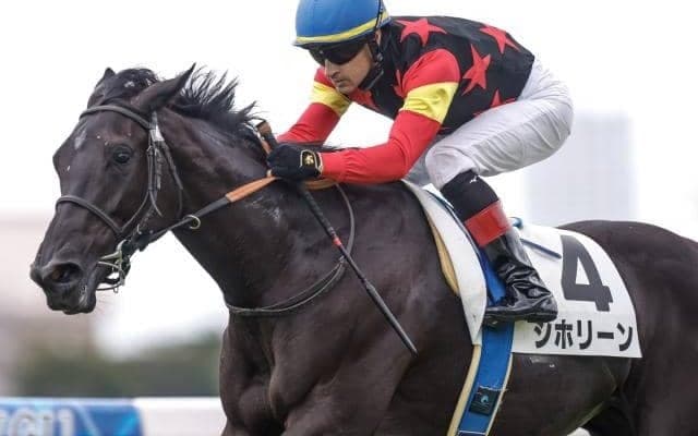 【フェアリーS予想オッズ】シホリーンが予想1番人気