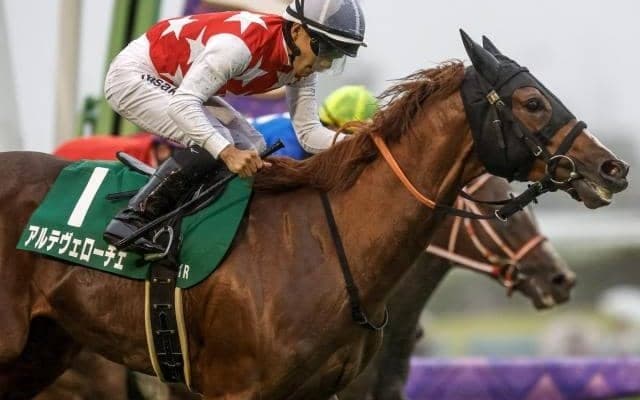 【シンザン記念予想オッズ】アルテヴェローチェが予想1番人気