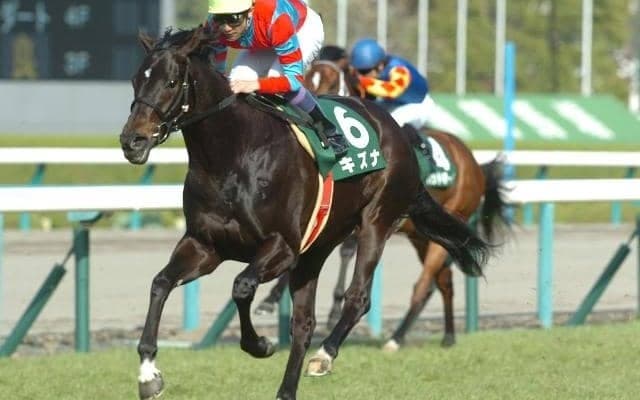 2024年の総合リーディングサイアーに輝いた「キズナ」 活躍の理由は条件を問わない万能性にあり