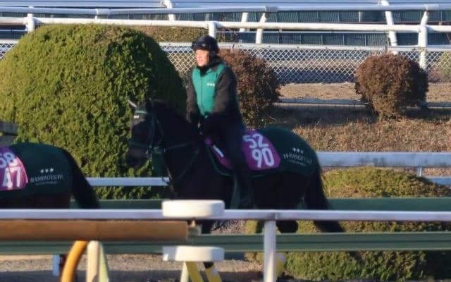 ダノンフェアレディなど、年末年始の入厩情報/栗東トレセンニュース