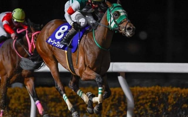 【浦和・ニューイヤーC結果】ホーリーグレイルが好位から抜け出して重賞初制覇