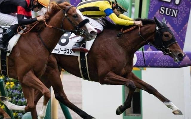 近親には名馬オルフェーヴル 期待のモーリス産駒がフェアリーSで重賞初制覇狙う