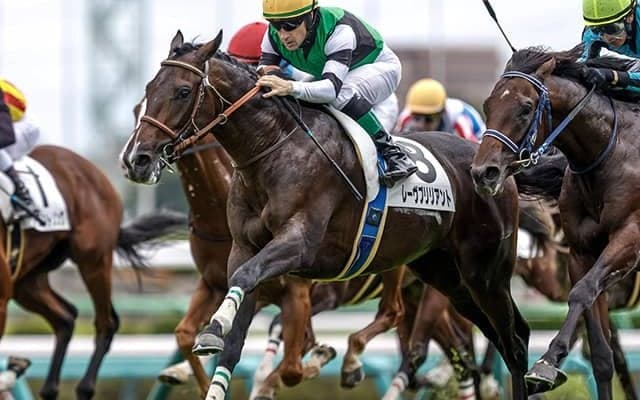 名牝リスグラシューの甥がシンザン記念で重賞初V狙う 春のクラシックに名乗り上げるか