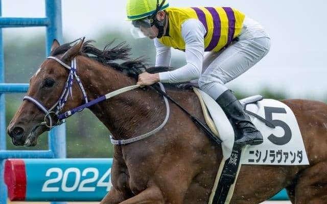 【フェアリーS予想】伏兵の好走目立つレース AIの推奨は距離延長ながらも実績上位の一頭