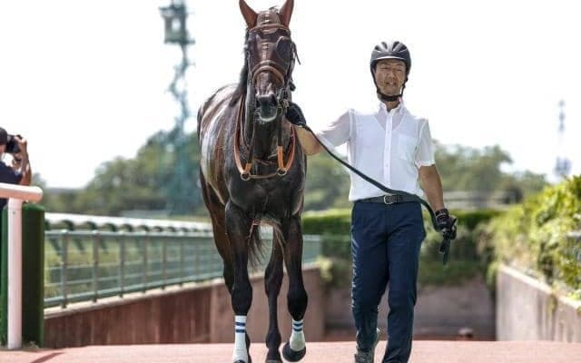  【シンザン記念展望】出世レースで素質高いジーティーマンに期待