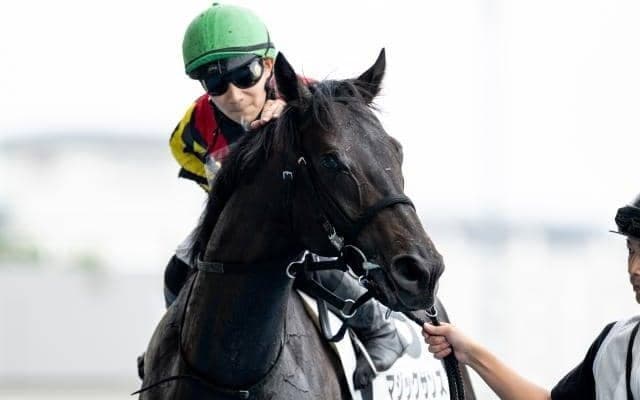 昨年の札幌2歳S覇者マジックサンズが故障 3カ月以上の休養要す見込み