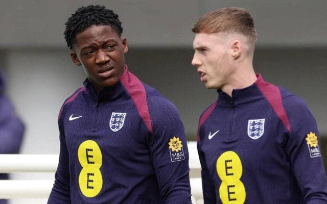 「パーマーは賛成！」チェルシーのメイヌー獲得噂を伝えるSNS投稿にパーマーが「いいね」“Liked by colepalmer10”