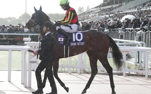 桜花賞とオークスの勝ち馬を識者が大胆予想！　阪神JF敗戦組からの巻き返しはあるか