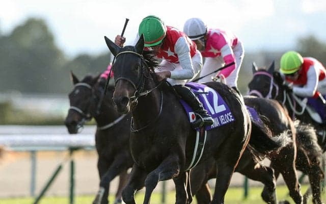 激戦の３歳牝馬戦線--年明け早々、桜花賞とオークスの勝ち馬を予想してみた！