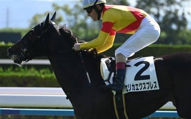 【フェアリーS枠順確定】エリカエクスプレスは6枠12番、レイユールは4枠8番