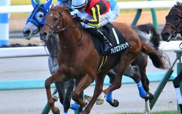 中山芝はCコース替わりで内＆前有利 アレグロブリランテの粘り込みだ