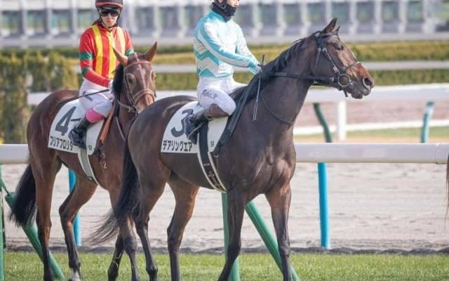 無敗の三冠牝馬デアリングタクトの全妹 春の大舞台に向け初白星を掴めるか