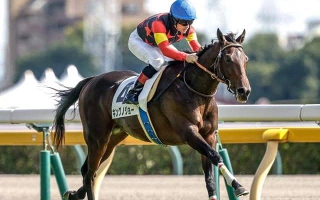 【京成杯想定馬・騎手】キングノジョー、パーティハーンなど15頭