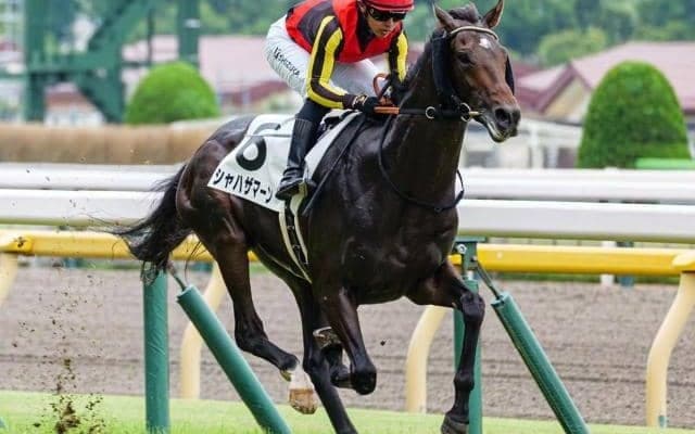 シャフリヤール＆アルアインの半弟 土曜中京で待望の初勝利なるか