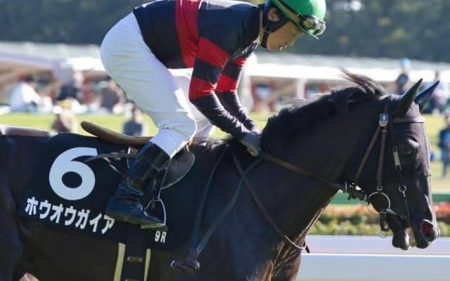 フェアリーSは先行激化!? ホウオウガイアの差し切りだ