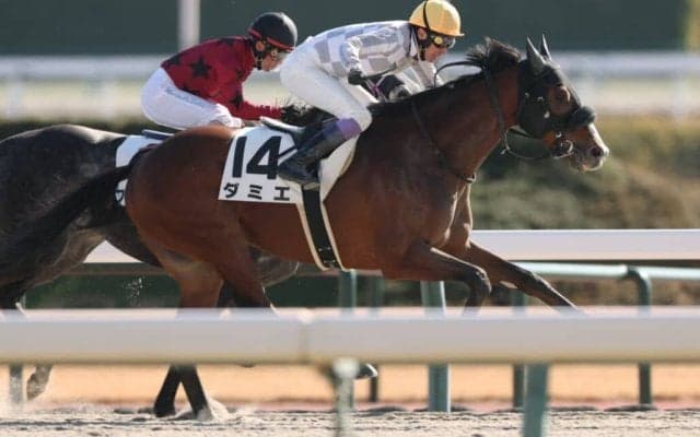 【中京4R】武豊ダミエがが人気に応える