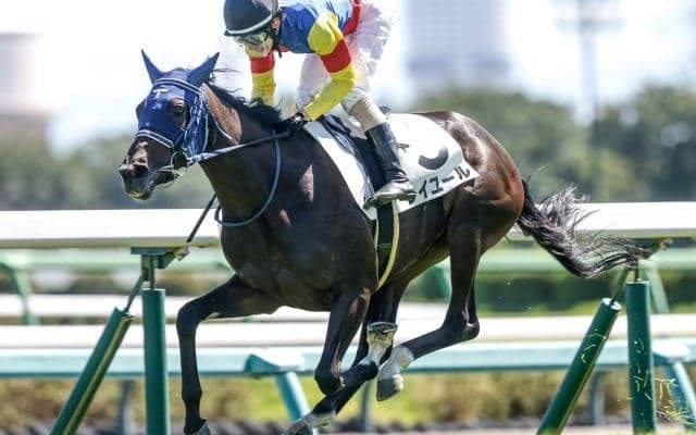 【今日の注目ポイント】中山で3歳牝馬のマイル戦フェアリーS