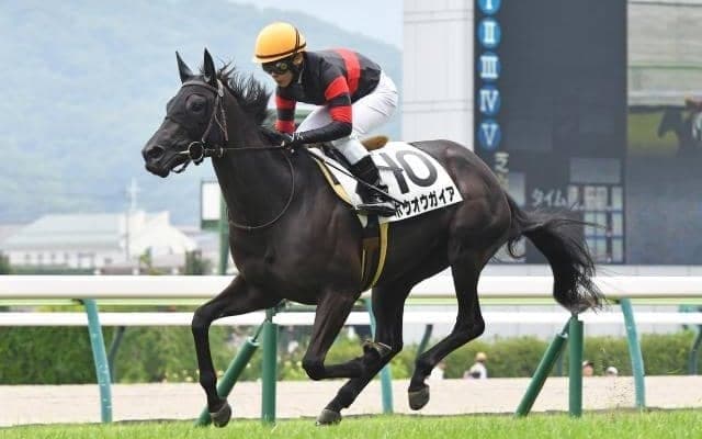 【フェアリーS予想】前走掲示板外の馬も見限れず トリッキーな中山マイルで行われる牝馬限定戦