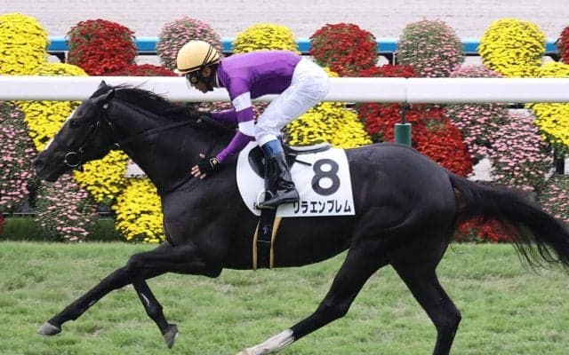 【競馬血統予想】シンザン記念で期待の２頭は？　種牡馬として評価上昇中のキズナ、アドマイヤマーズの血に注目