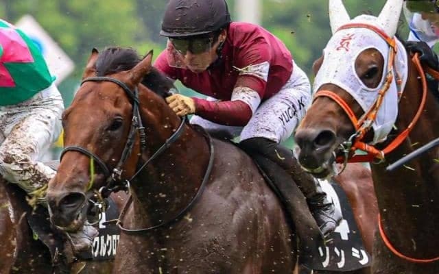 「ウマ娘」藤田晋オーナーの短距離王候補 春の大舞台に向けて淀短距離Sで必勝期す