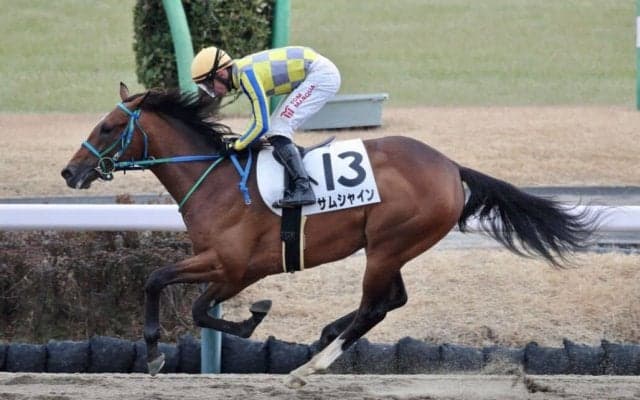 【中山2R】マーカンド騎乗 サムシャインが9馬身差圧勝…ルヴァンスレーヴ産駒