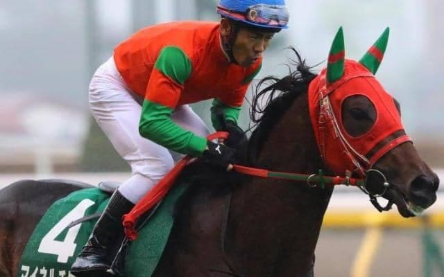 中京芝は圧倒的に内有利 シンザン記念は最内マイネルチケットで勝負だ