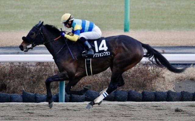 【ポルックスS】アクションプランがオープン初勝利…メイクアリープは落馬競走中止
