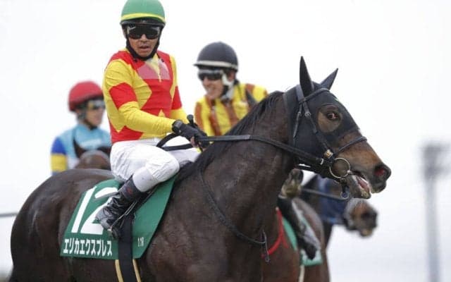 【フェアリーS】戸崎「センスのある馬」エリカエクスプレスがデビュー2連勝