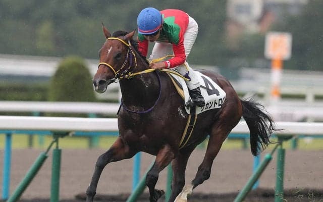 【競馬予想】シンザン記念は好配当狙いが吉！　過去の激走馬と類似する３頭の穴馬