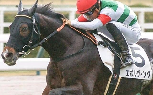 全姉は名牝リスグラシュー エボルヴィングが待望2勝目なるか