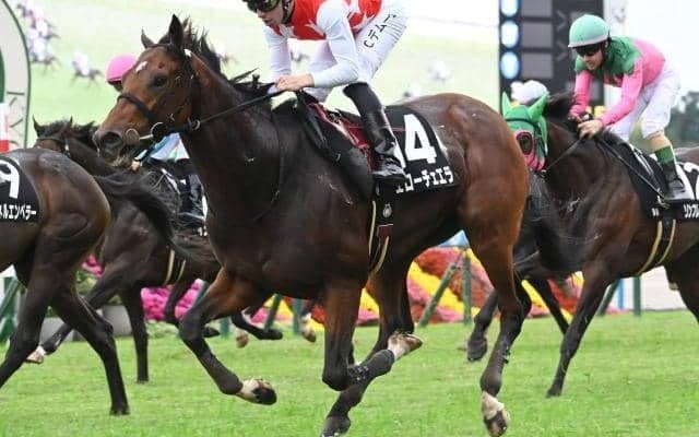 中京で日経新春杯と中山で京成杯/今週の競馬界の見どころ