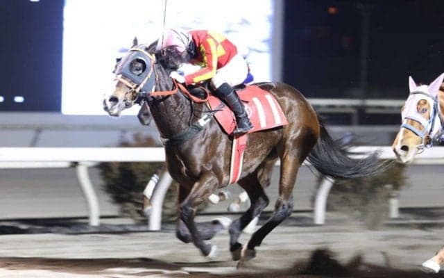 【高知・ベラトリックス特別】ミニョンが接戦を制する