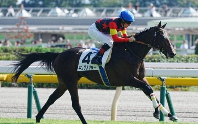 【京成杯登録馬】キングノジョーなど15頭