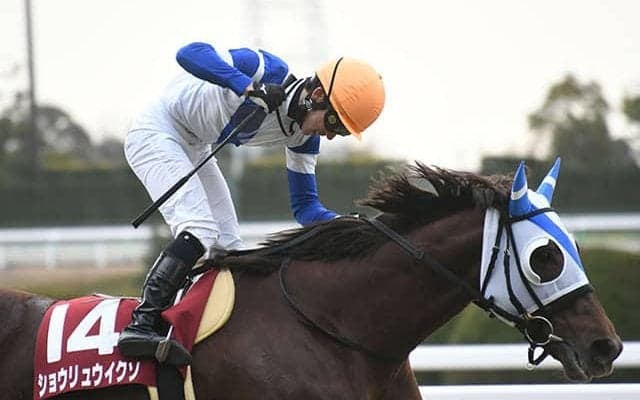 【日経新春杯】軽ハンデが生んだお年玉 約100万円の配当は若きホープの重賞初制覇とともに